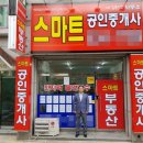 전국구공인중개사사무소 스포츠조선