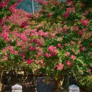 고려동유적지 이미지