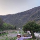 영강천변 파크골프장 이미지