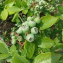 신흥교회 앞 이미지