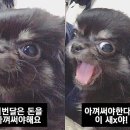 개스트 하우스 이미지