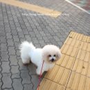 뭉치쌀롱 이미지