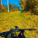 관촌시장 | 2024년 10월 12일 임도따라 정상까지 오를 수 있는 장수 팔공산(1151m) mtb 산악 임도 라이딩