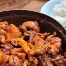 쌍용폐계닭 이미지