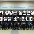 목면대평 네이버블로그