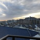 오와빌 | [일본 유학] (D+4) 드디어 일본에 오다