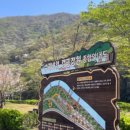 부여(외산)-5 이미지