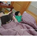 경주한옥펜션 계림궁 이미지