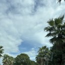 신화로(3-217) 이미지