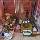 아우네포차 이미지