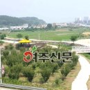 도장골천 여주신문