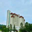 프렌치가든 | 평창 켄싱턴호텔 프렌치 가든 후기, 평창 산책하기 좋은 프랑스식 정원