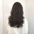 엘코너26
