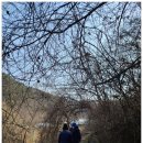 원주굽이길 13코스 구력재길 이미지