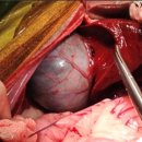 (주)바른정보시스템 이미지