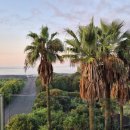 동백해비치펜션 이미지