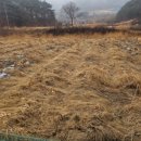 봉화공인중개사사무소 이미지