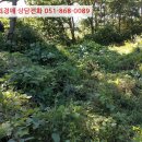 하개명마을회관 이미지