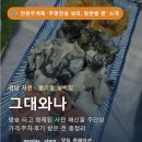 그대와나 - 사천시 | 사천 · 벌리동 실비집 그대와나 방송 타고 화제된 사천 해산물 주안상 가격·주차·후기 방문 전 총정리