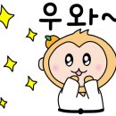 국가대표 태권메이커 태권도장 이미지