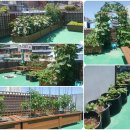 수정동농장 이미지