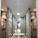 크레이지독스짐 이미지