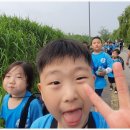 행복한동행정진태권도 이미지