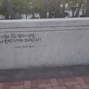 채송공원 이미지