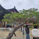 송학사 이미지