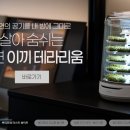 쁘띠뽀레 이미지