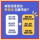 강남세무회계 이미지