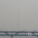 내가 영동 아이돌 이미지