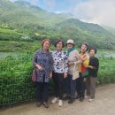 풀잎하우스 - 산청군 산청대로993번길 41-8 | 풀잎하우스