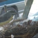 굿모닝 농장 이미지