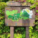 공릉경희한의원 | [서울둘레길/서울두드림길]1코스수락,불암산코스~당고개역구간 (feat.1-2 구간 당고개역~화랑대역...