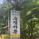 우림가든 | [천안] 천안 광덕산 계곡 우림 가든, 계곡뷰에 닭백숙 먹은 후기!