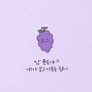 단디 이미지
