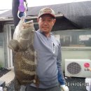 k3바다낚시터 이미지