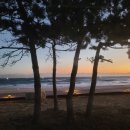 망상리조트 자동차캠핑장 이미지