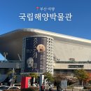 영진기획 | 부산 여행 국립해양박물관, 기대 이상었던 알찬 실내데이트 후기