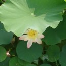 안압지농장 이미지