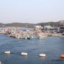 백산수산 네이버블로그