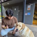(주)수달앤쥬 네이버블로그