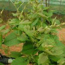 현제농장 이미지