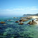 동해바다 이미지