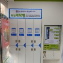 천곡초교 이미지