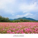 가조온천 이미지