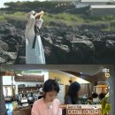 서열민박 이미지