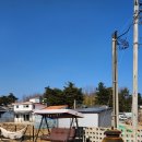 보니블랑