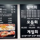 날으는산오징어 이미지